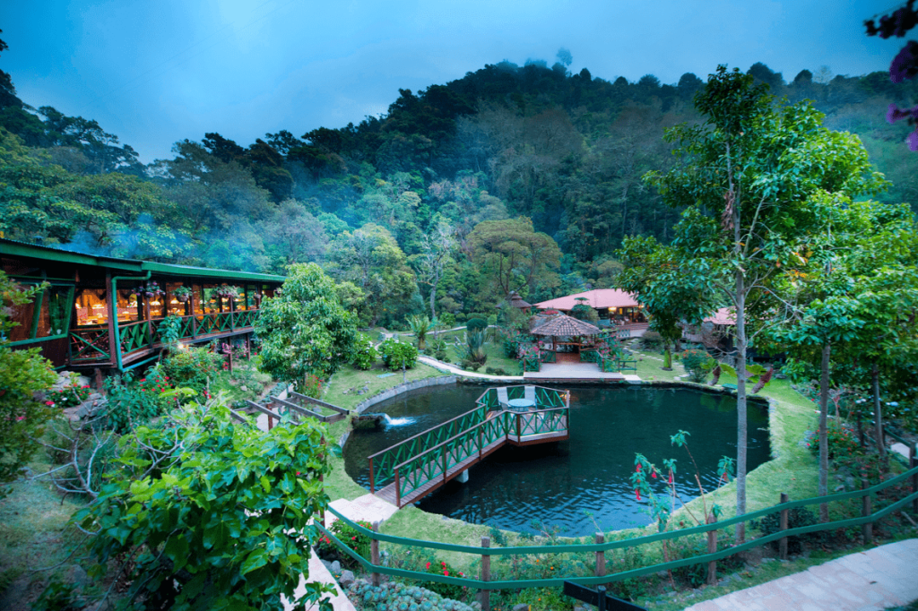 Wellness experiences