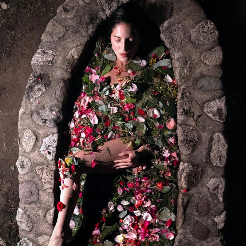 Flower and herbal bath